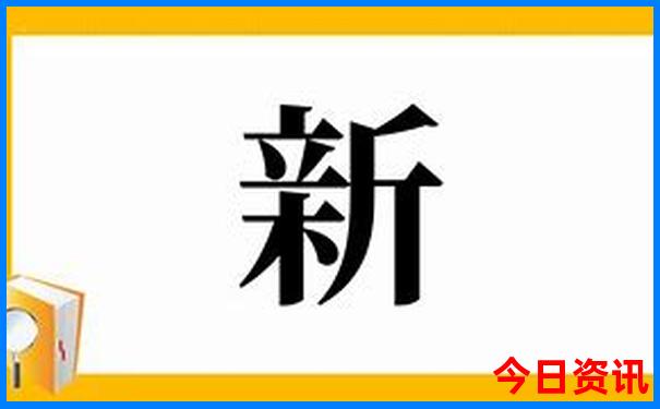 田苗苗个人资料简介